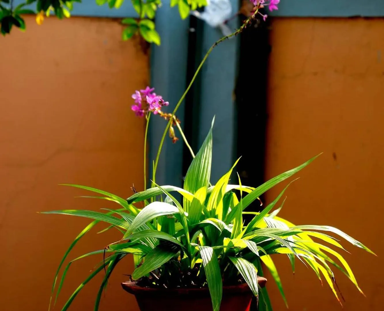 Holiday home Alleppey Haven Homestay Near Backwaters Alappuzha